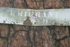 Trail marker.