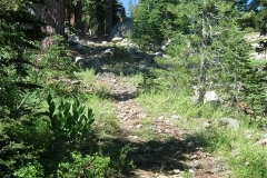 Devils Ladder