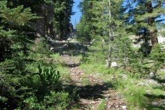 Some photos don't show just how steep the ascent was.