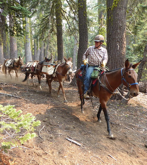 About Eldorado National Forest Interpretive Association