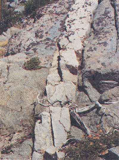 One of many examples of dikes (veins) in the area