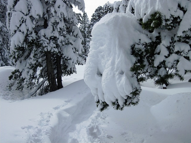 Carson Pass Station