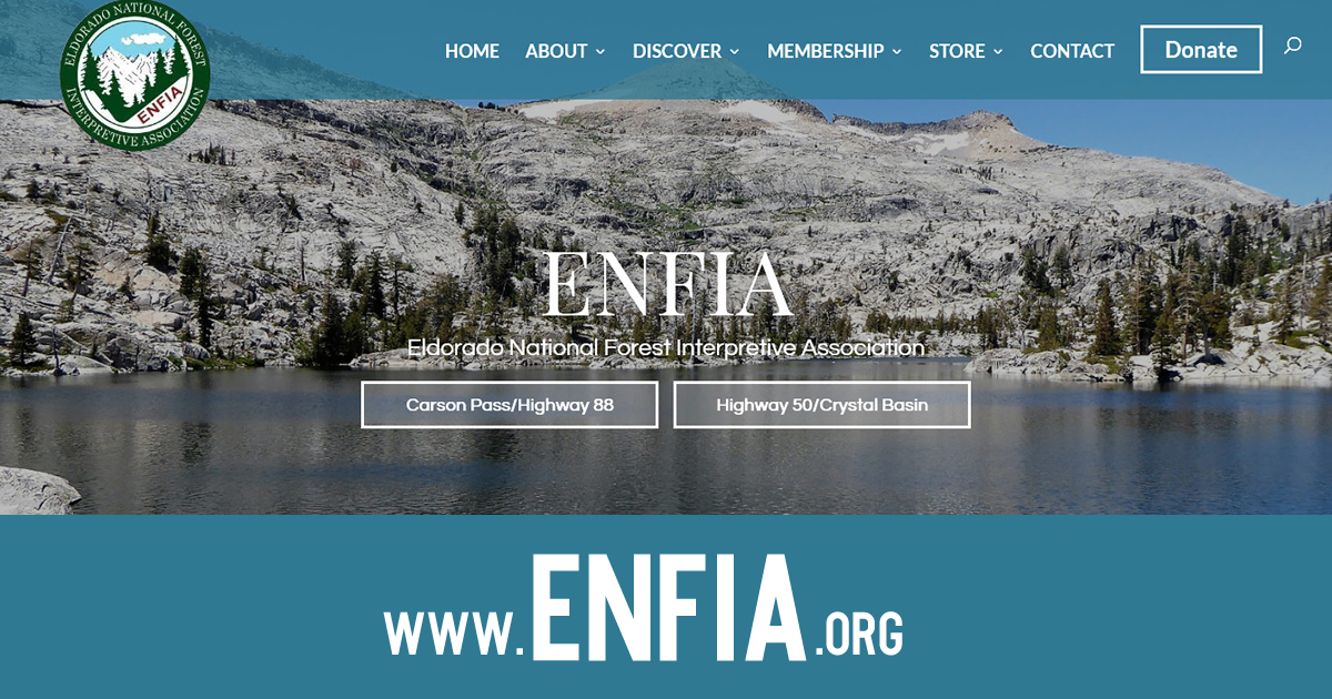 (c) Enfia.org