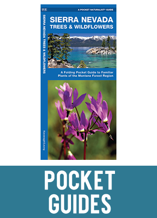Pocket Guides - ENFIA Store